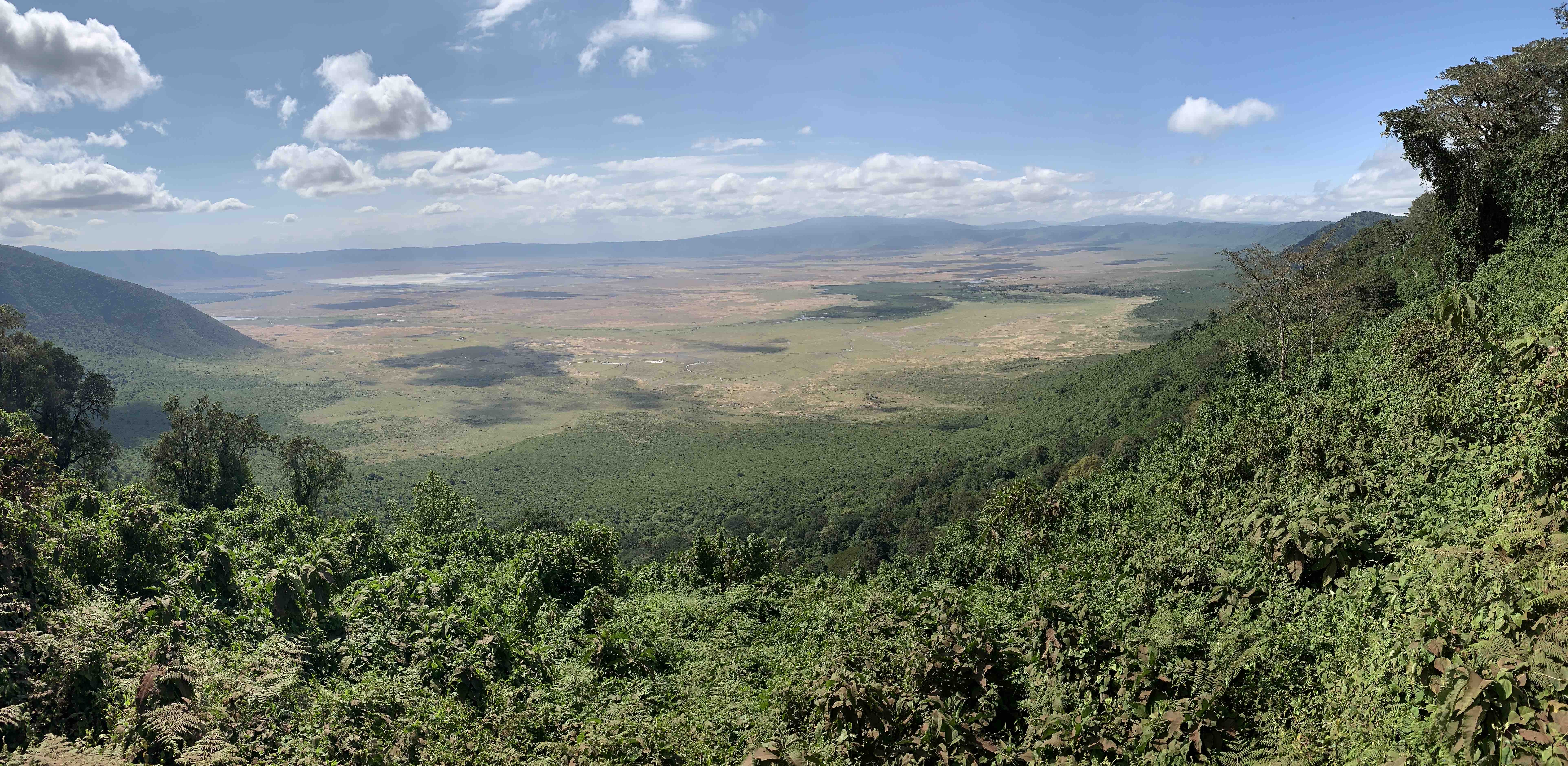 Landscape near the Northern Highlands Forest which encircles the Ngorongoro Crater