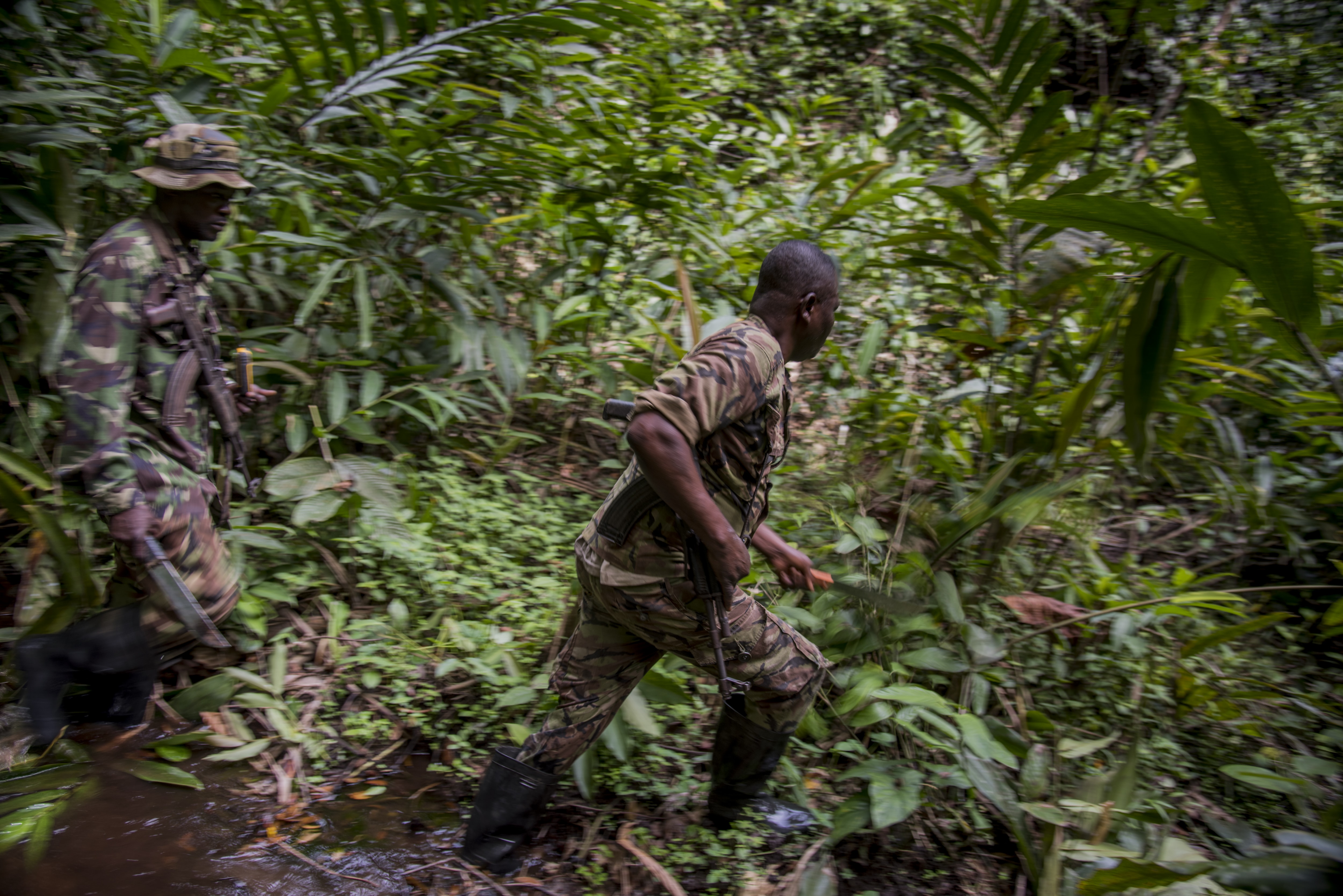 Two armed game rangers in dense forest.