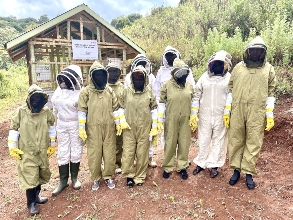 Women beekeepers in Tanzania