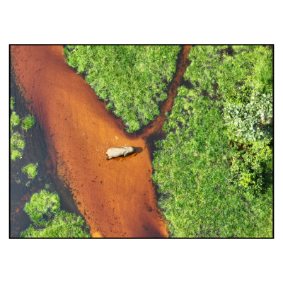 Image for choice number 2