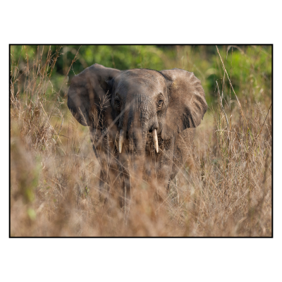 Image for choice number 3