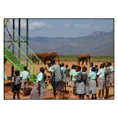 Image for choice number 5