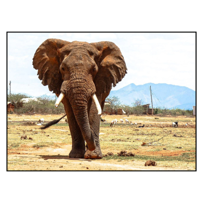 Image for choice number 6