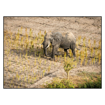 Image for choice number 7