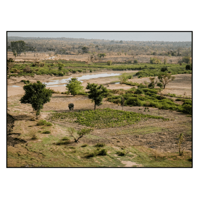 Image for choice number 8