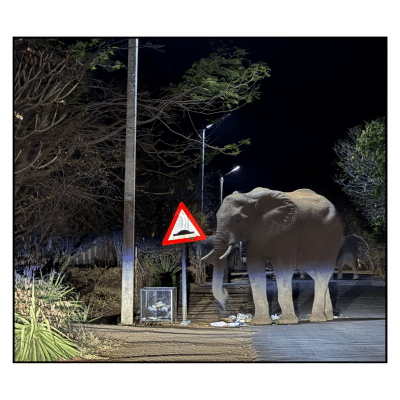 Image for choice number 9